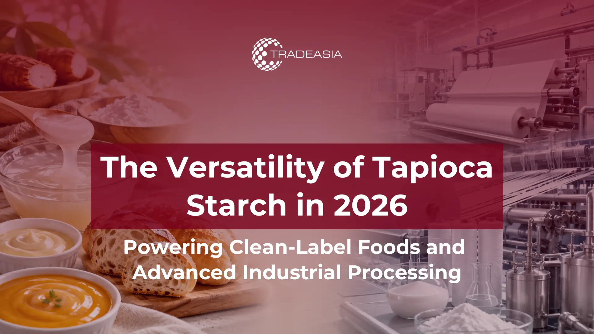 Tapioca Starch Applications in 2026: Clean-Label Foods to Industrial Use